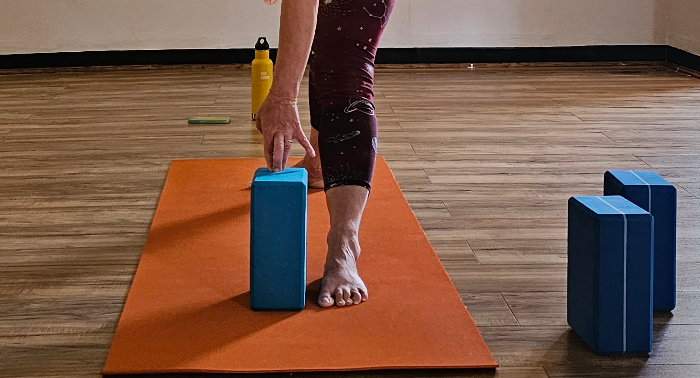 Foundations of Flow: Crafting Confidence in Classic Asanas. A comprehensive yoga pose mini clinic.
